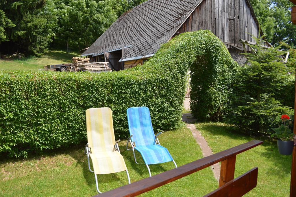Apartmany Dana Horni Branna Exterior foto