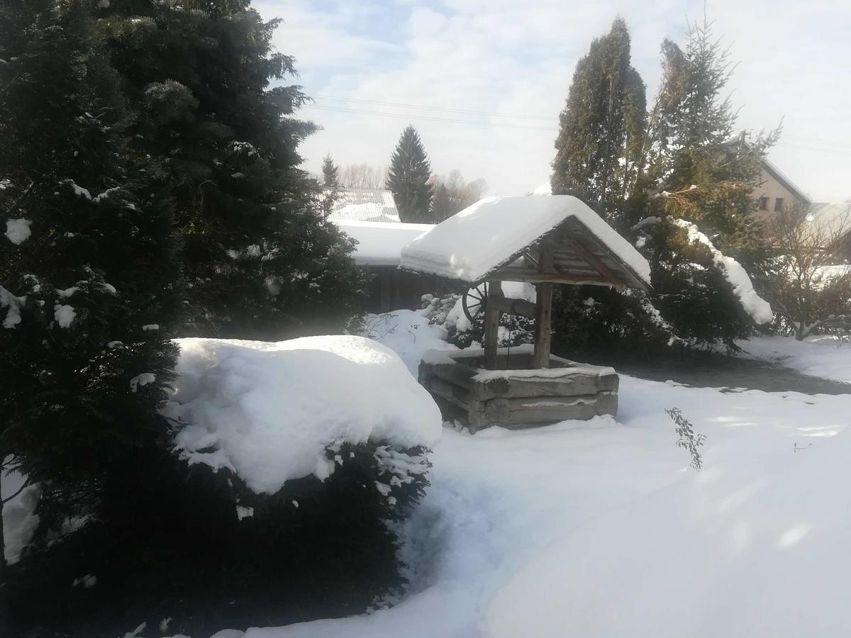 Apartmany Dana Horni Branna Exterior foto