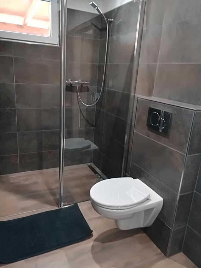 Apartmany Dana Horni Branna Exterior foto
